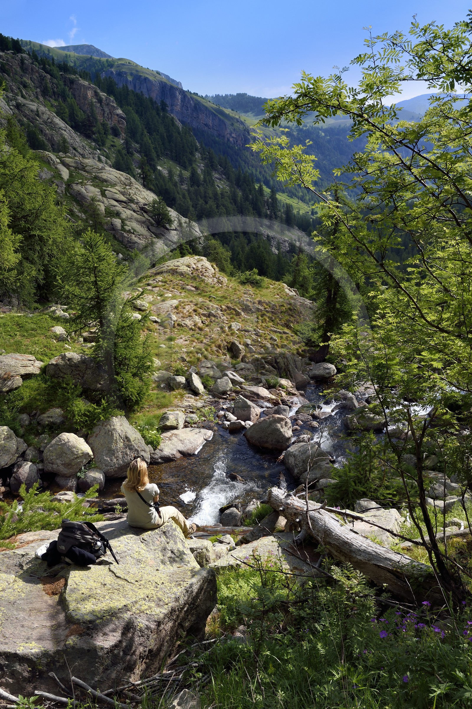 France, Alpes-Maritimes (06), parc national du Mercantour, vallon de la Minière en contrebas de la Vallée des Merveilles, sur les pentes du Mont Bégo