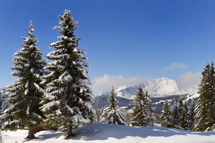 France, Haute-Savoie (74), Morzine, la vallée d'Aulps, massif du Chablais, domaine skiable des Portes du Soleil,