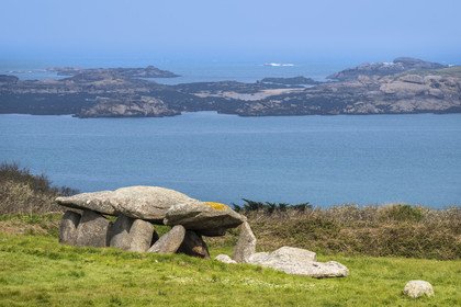 France, Côtes-d'Armor (22), Côte de Granit Rose, Trébeurden, Ile Millau, allée couverte du néolithique qui aurait servi de monument funéraire