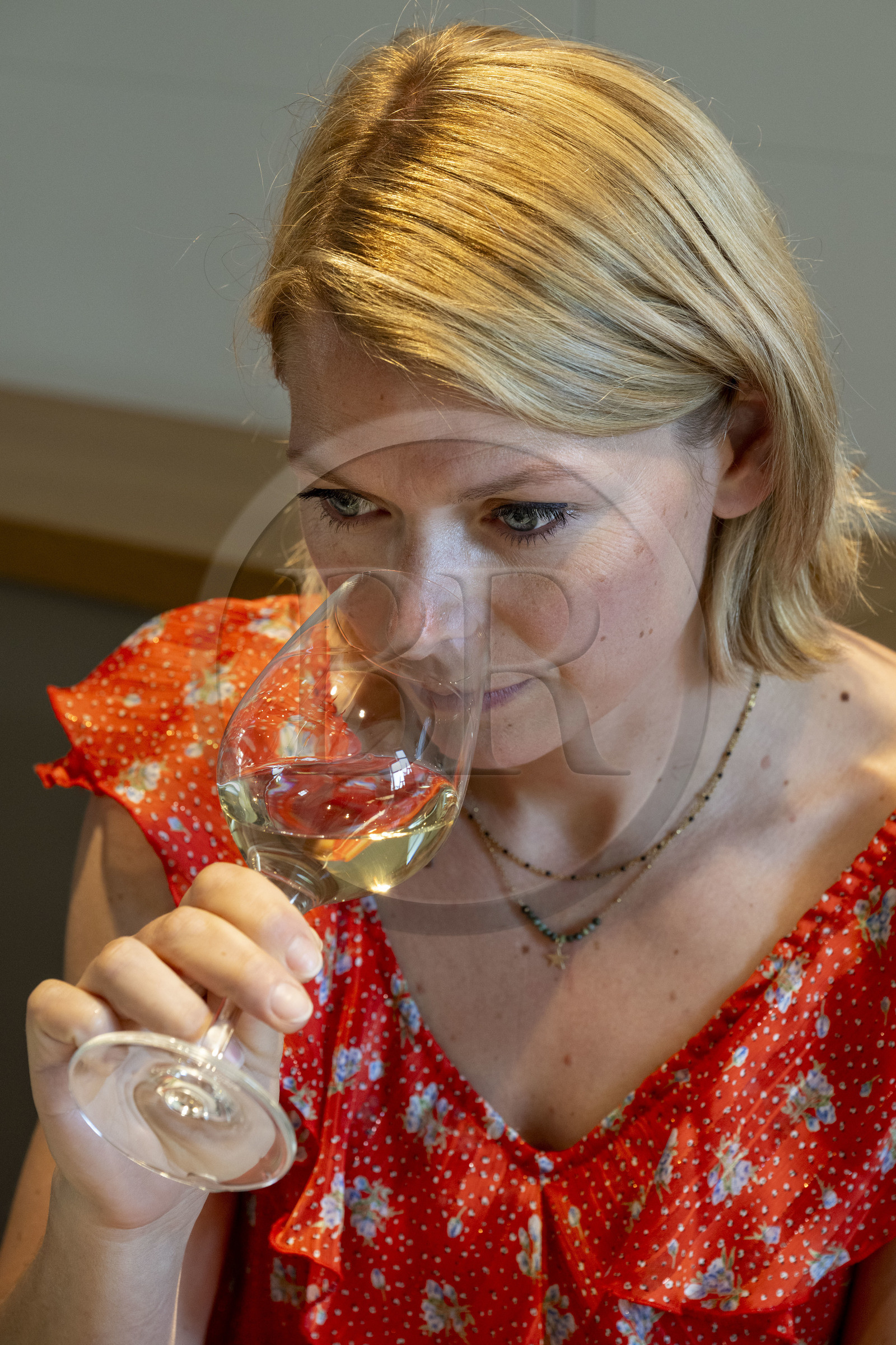 France, Vaucluse (84), Dentelles de Montmirail, Gigondas, le Caveau des Vignerons, dégustation des meilleurs AOC Cru des Côtes du Rhône Gigondas