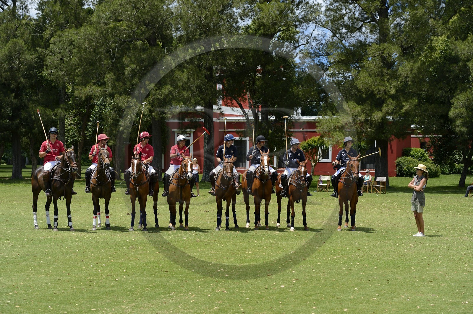 Argentine, province de Buenos Aires, San Antonio de Areco, estancia La Bamba de Areco, match de polo