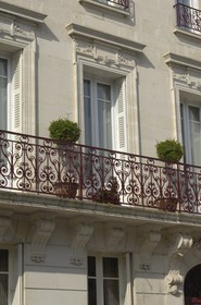 France, Charente-Maritime (17), Rochefort, rue de la République, la chambre d'hôtes Palmier sur Cour
