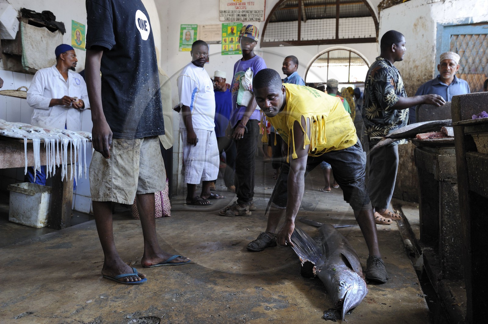 Tanzania, Zanzibar, Stown Town, Darajani market, fish market