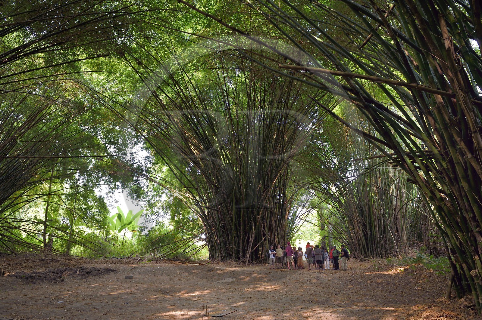 Gabon, Ogooue-Maritime Province, Omboue region, Fernan Vaz (Nkomi) Lagoon, St. Anne's mission church, the bamboo Cathedral that was used as a outdoor church