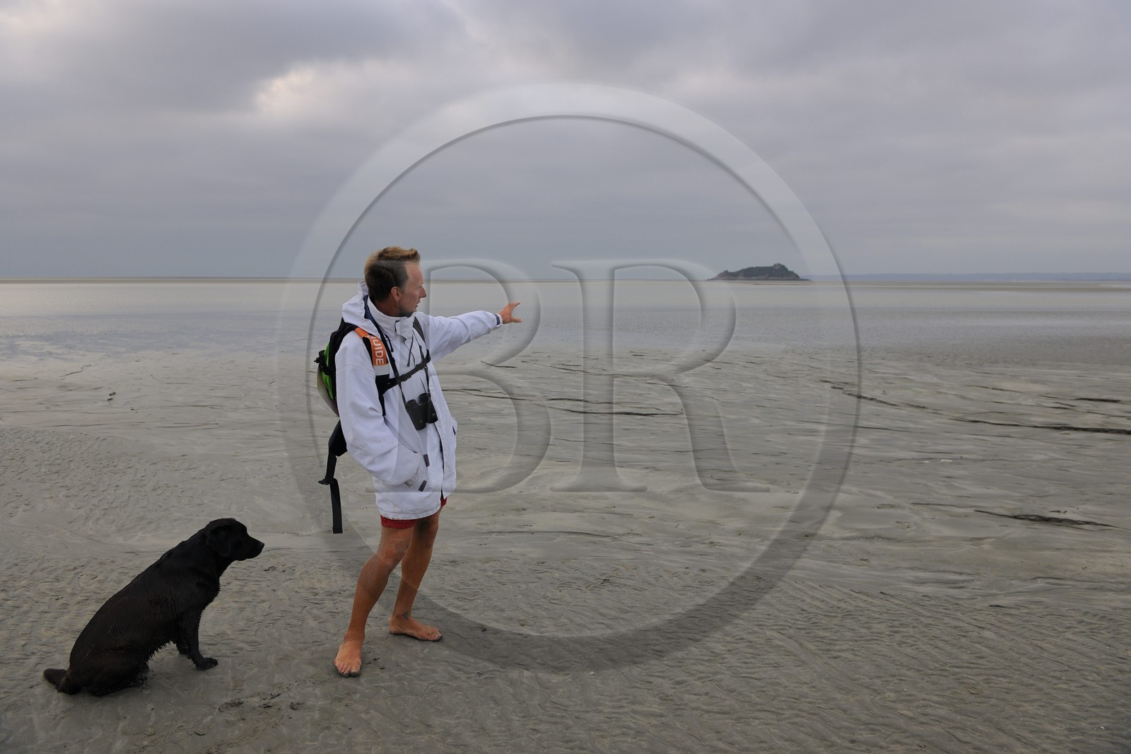 France, Manche, walking discovery of the Bay of Mont Saint Michel, the guide Romain Pilon pointing Tombelaine island in the background