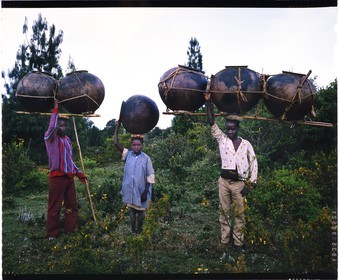 Burundi, province de Bujumbura, région d'Ijenda, groupe de Twa ou Batwa (pygmées) se rendant au marché pour vendre leurs pots, les pygmées (Batwa) étaient chasseurs et potiers mais n'ayant plus, ou presque, de gibiers à chasser, leur principale activité reste la confection de pots d'argile faits sans tours et cuits au feu de paille et de branchages (reproduction plan-film inversible 4x5)