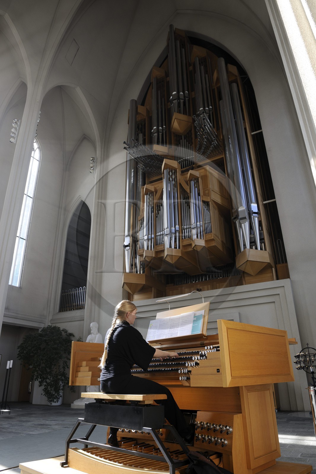 Islande, Reykjavik, orgue de l'église de Hallgrimskirkja