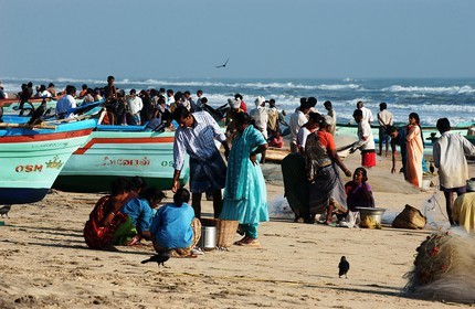 Inde, Etat du Tamil Nadu, pêcheurs et marché sur la plage de Velanganni