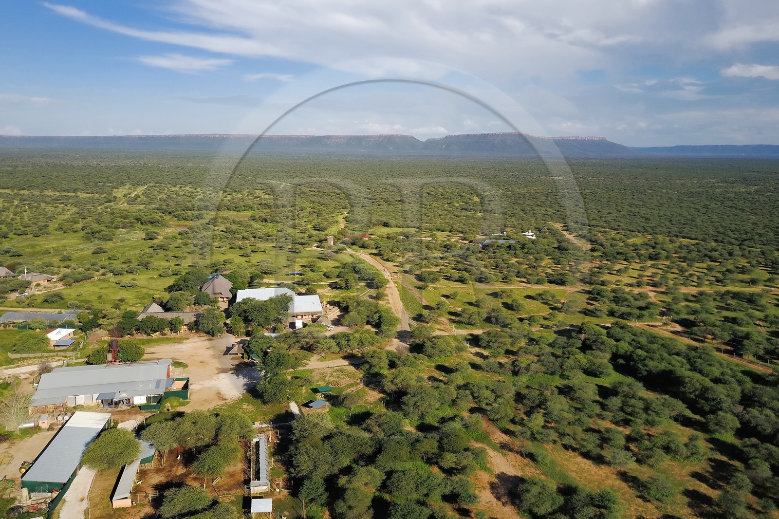 Namibie, Otjiwarongo, Cheetah Conservation Fund, centre de recherche et d'