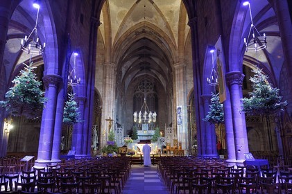 France, Bas-Rhin (67), Selestat, les sapins suspendus sous les arcs de la nef de l'église Saint-Georges sont décorés traditionnellement de pommes, bredele, boules en tenant compte d'une évolution dans le temps