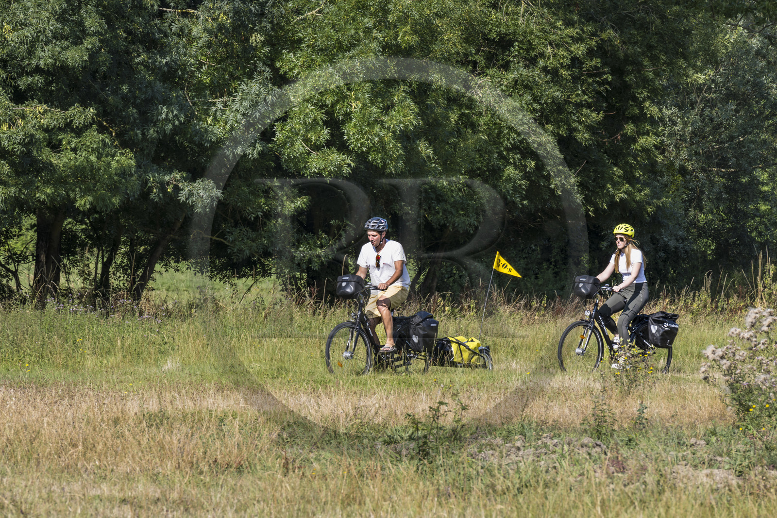 France, Maine-et-Loire (49), vallée de la Loire classée au Patrimoine Mondial par l'UNESCO, Saumur vers Saint-Hilaire, randonnée à bicyclette sur les berges de la Loire, vélo avec une remorque transportant le matériel de camping