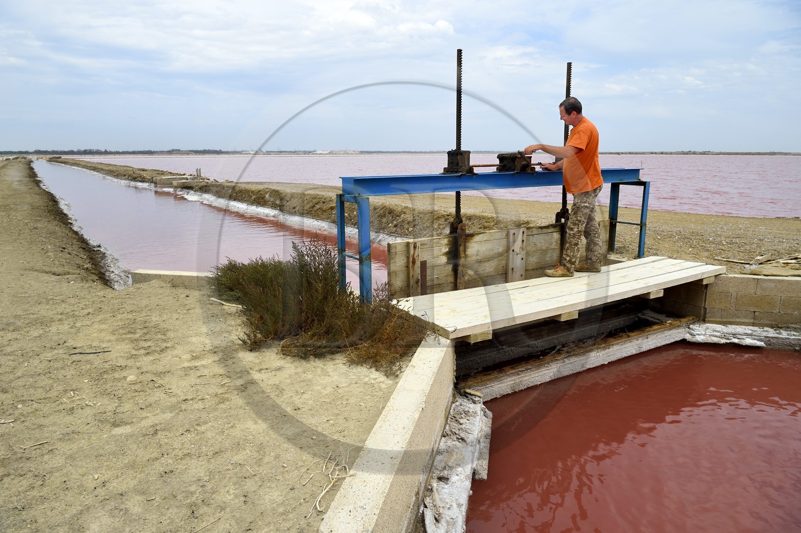 France, Bouches du Rhone, Camargue, Salin de Giraud, the salins du Midi, the salt worker Pierre Brun controls a valve for the irrigation of the salt marshes