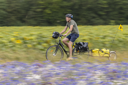 France, Maine-et-Loire (49), vallée de la Loire classée au Patrimoine Mondial par l'UNESCO, Saumur vers Saint-Hilaire, randonnée à bicyclette avec une remorque transportant le matériel de camping