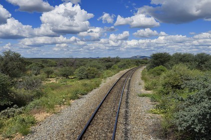 Namibie, région de Otjozondjupa, voie ferrée emprunté par le Shongololo express