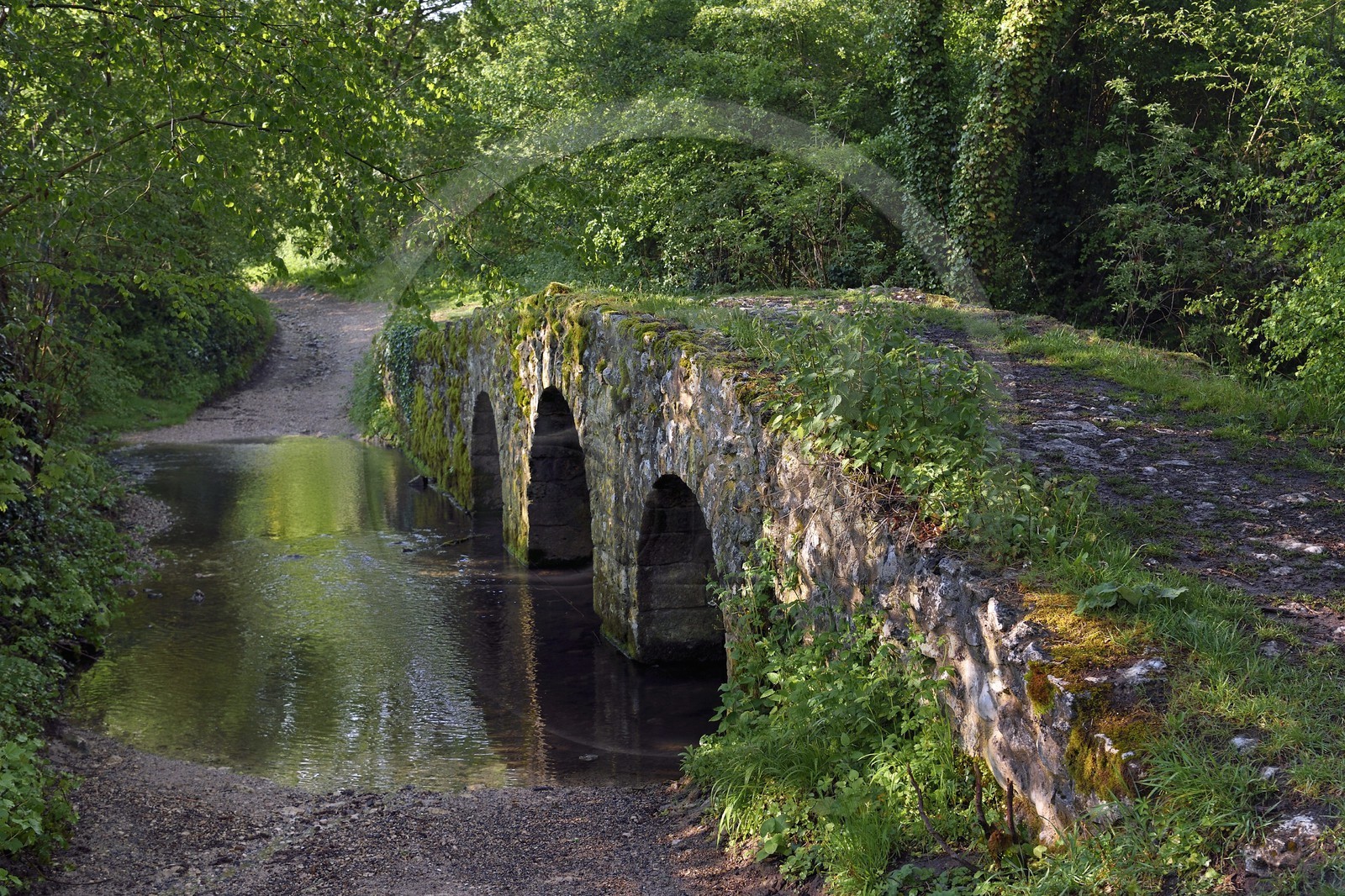 France, Yvelines, Montchauvet, Medieval Romanesque bridge called Pont de l'Arche built under Philippe Auguste