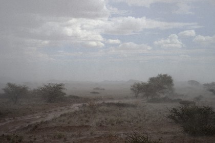 Namibie, région de Khomas, désert du Namib à l'Est du parc national Namib Naukluft sous une pluie d'orage