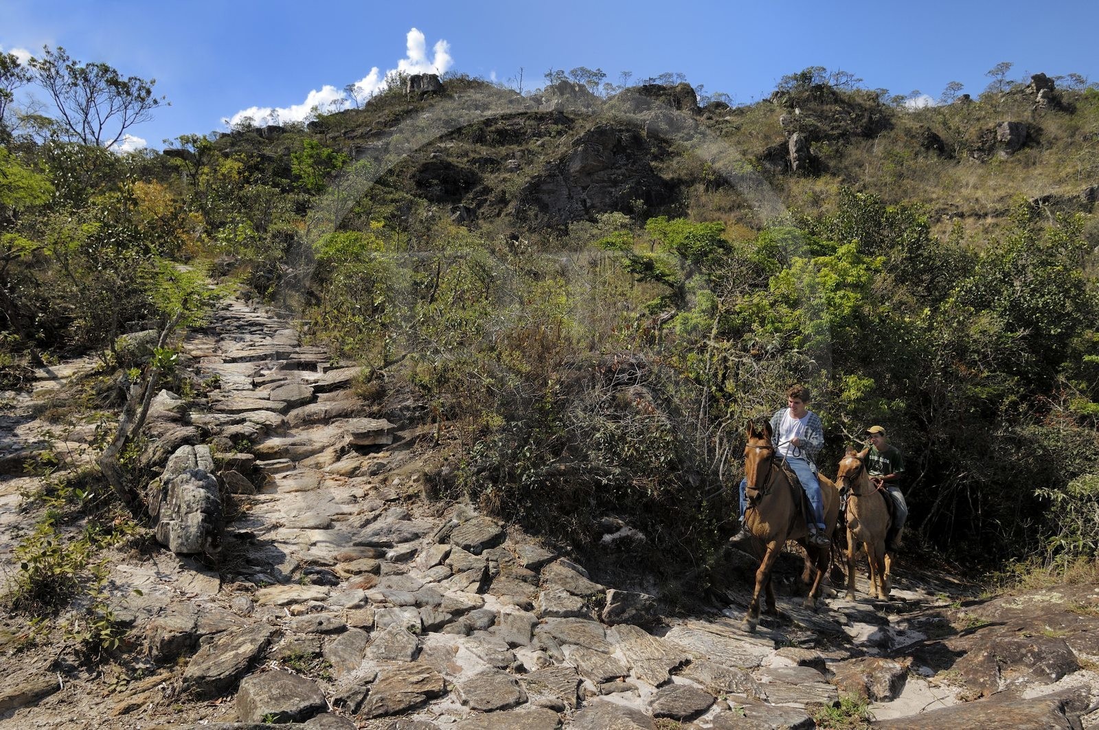 Brésil, Etat du Minas Gerais, Tirandentes, cavaliers sur l'ancienne route de l'or (Estrada Real)