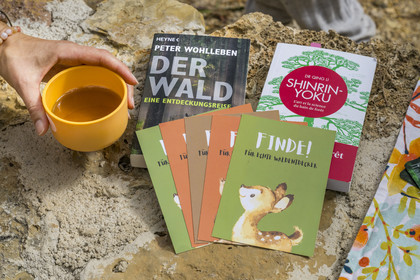 France, Var (83), Provence Verte, Bras, Académie du Bain de Forêt Provençale, forêt du domaine Le Peyrourier - une campagne en Provence, Constanze Coisne guide le Shinrin Yoku