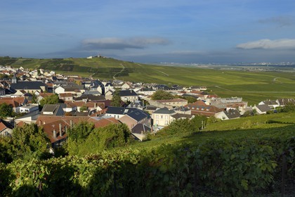France, Marne (51), Parc Naturel Regional de la Montagne de Reims, Verzenay, vignobles de Champagne