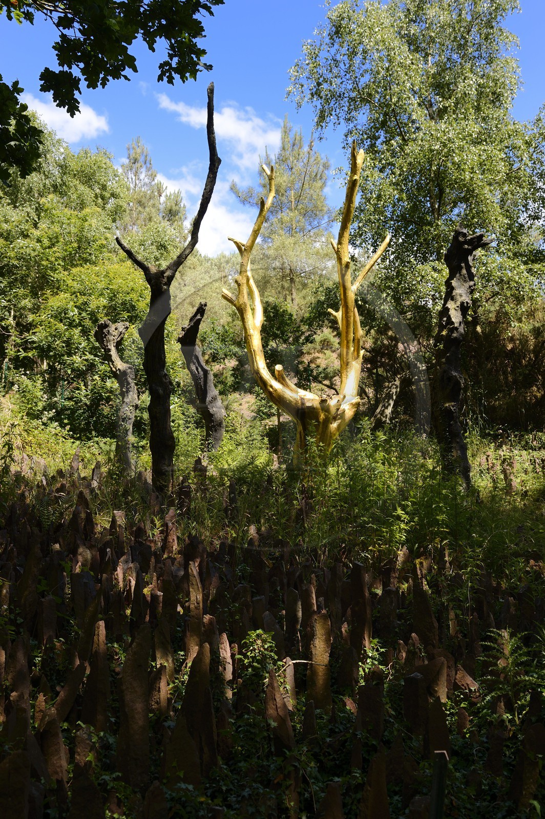 France, Morbihan (56), forêt de Brocéliande, Tréhorenteuc, sculpture L'Arbre d'Or de l'artiste François Davin dans le Val sans retour