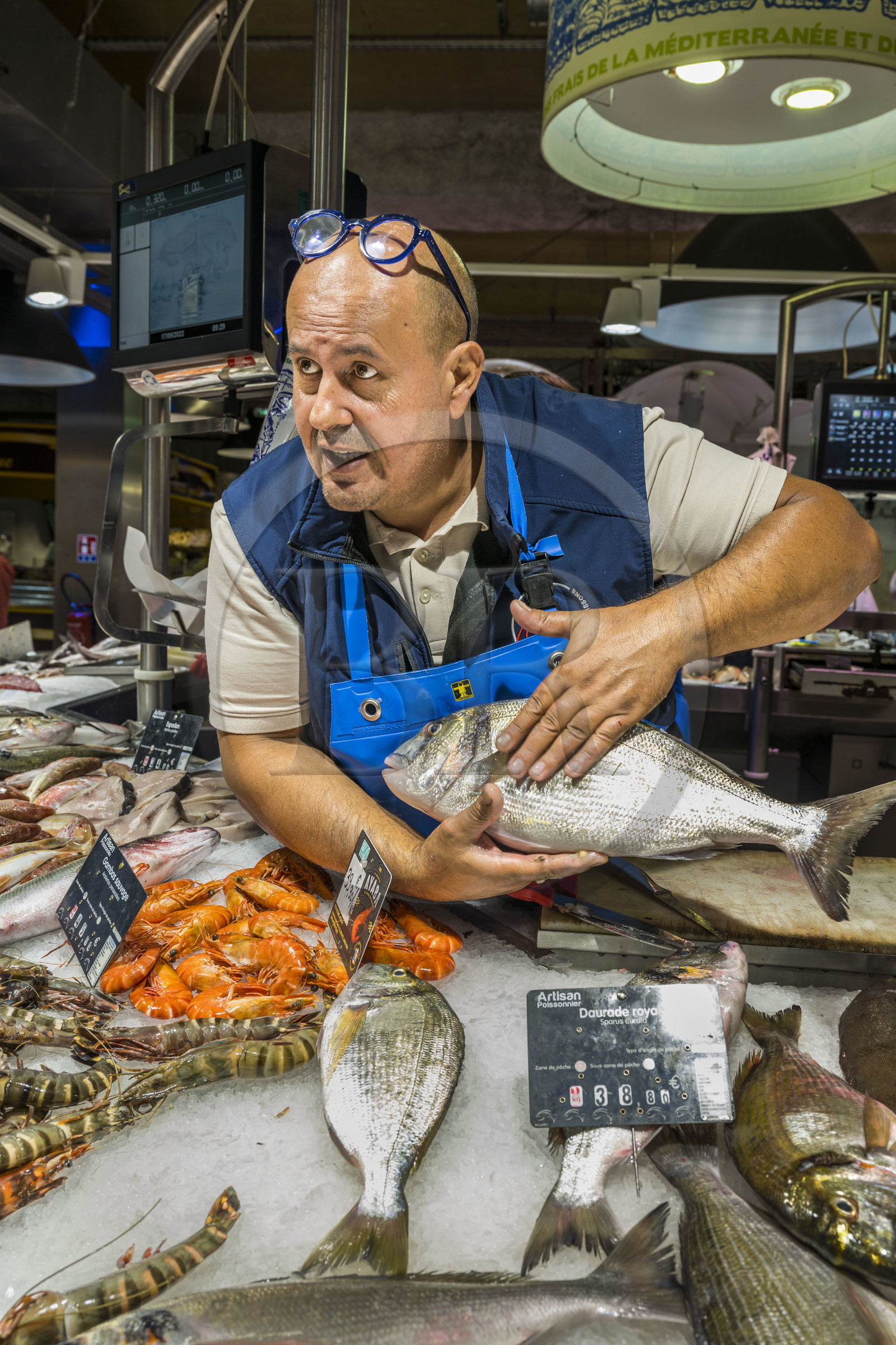France, Hérault (34), Sète, Les Halles, marché couvert, étal du poissonnier Chez Cyril, Cyril Caumette présente une dorade royale
