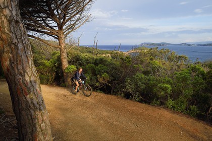 France, Var (83), Iles d'Hyères, parc national de Port Cros, Ile de Porquerolles,