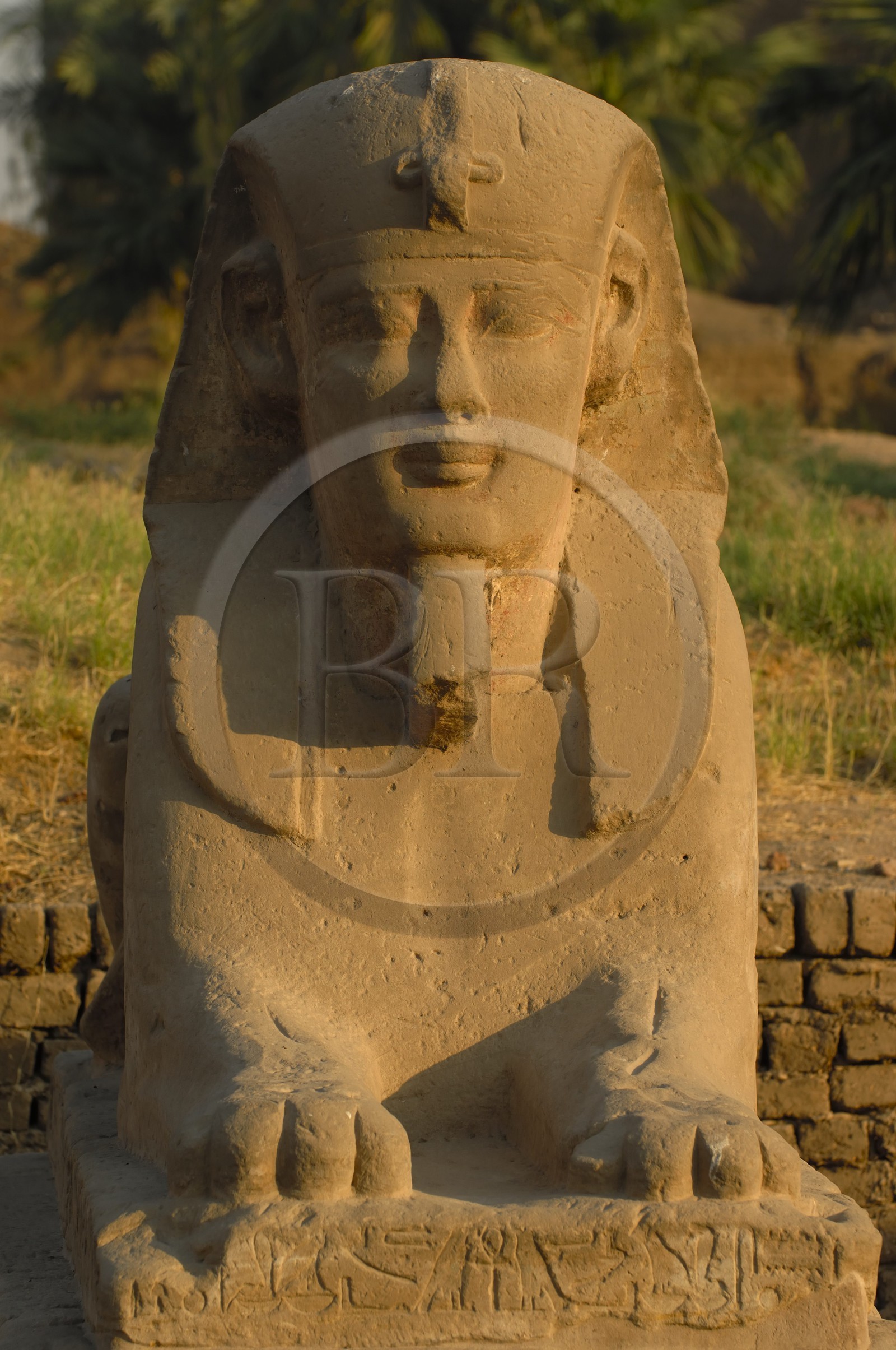 Egypte, Haute Egypte, vallée du Nil, temple de Louxor classé Patrimoine Mondial de l'UNESCO, le Dromos