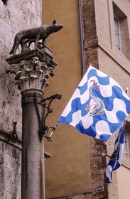 Italie, Toscane, Sienne, Le Palio, drapeau d'une contrade