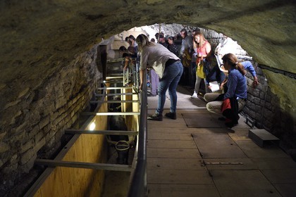 France, Bouches-du-Rhône (13), Arles, les Arènes, amphithéâtre romain de 80-90 après JC, classé Patrimoine Mondial de l'UNESCO, arrivée des taureaux dans le toril situé sous les tribunes