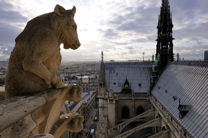 France, Paris (75), île de la Cité, la cathédrale Notre-Dame, les chimères observent la ville, le taureau debout