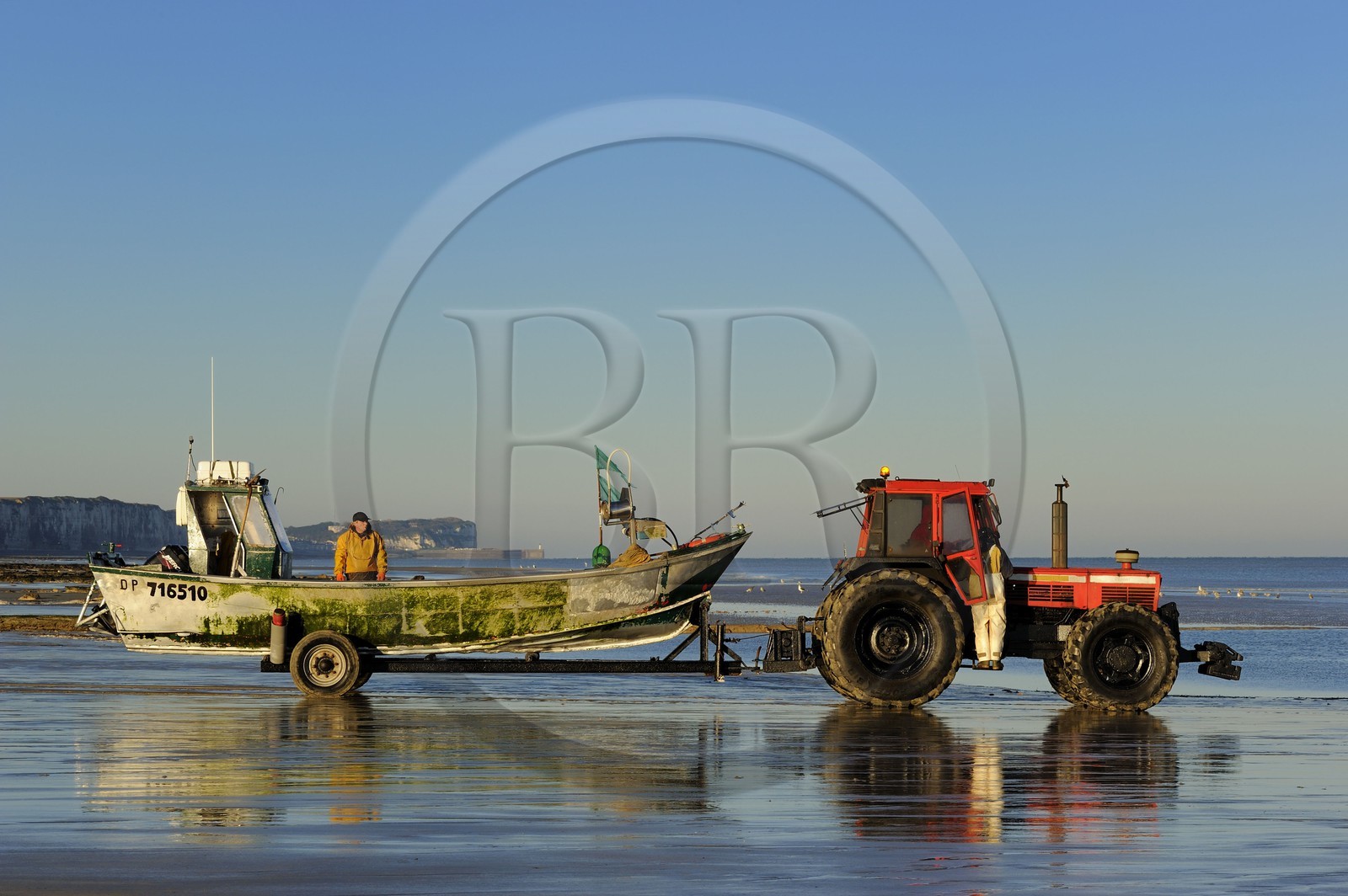 France, Seine-Maritime, Veules-les-Roses, fishing departure on board the boat La Pomme pulled by a tractor on the beach