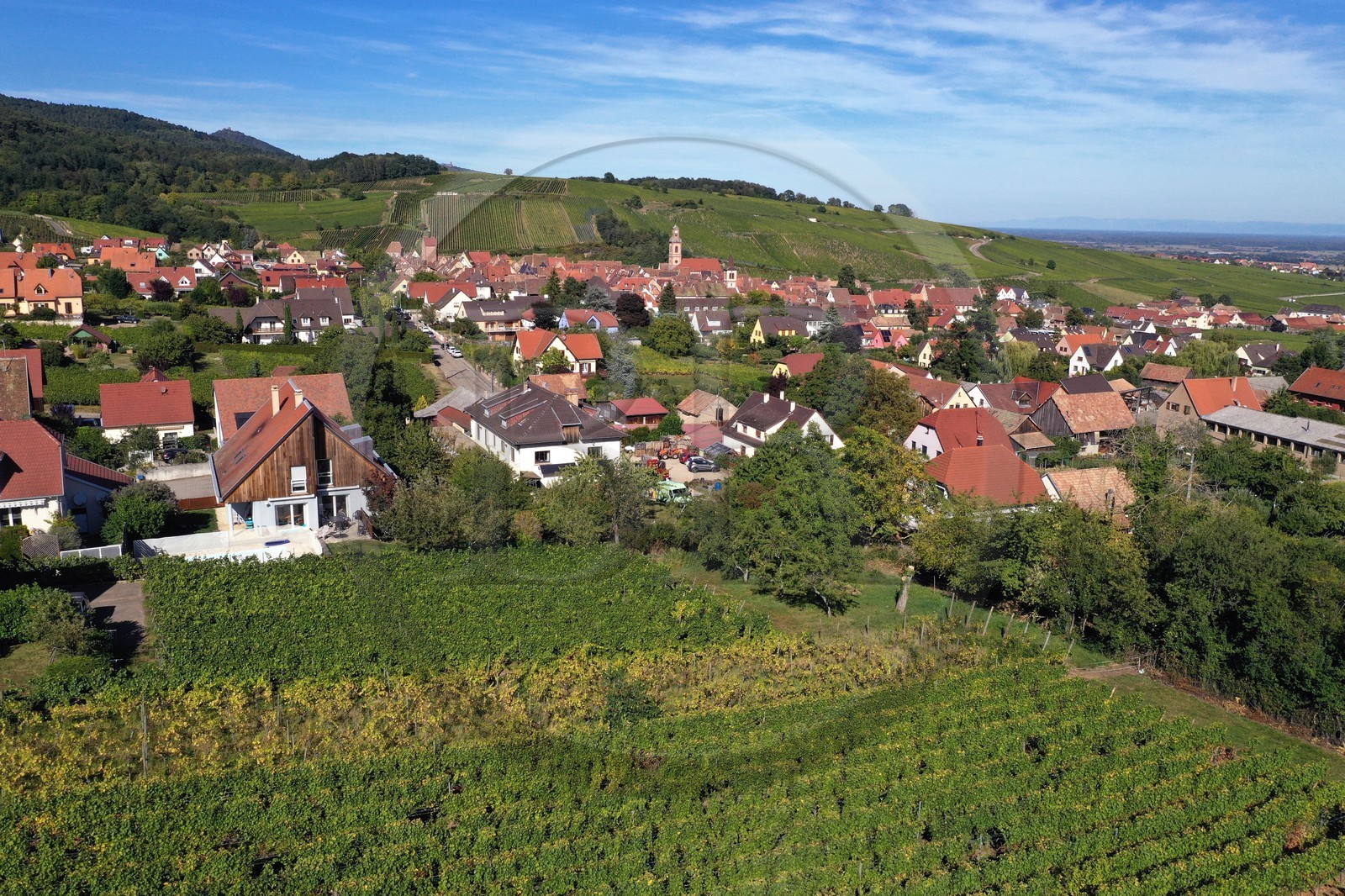 France, Haut-Rhin (68), Route des vins d'Alsace, Riquewihr, labellis