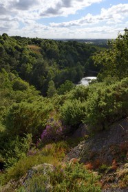 France, Morbihan (56), forêt de Brocéliande, Tréhorenteuc, la Mare aux Fées du Val sans Retour où selon la légende la Fée Morgane retenait ses amants infidèles