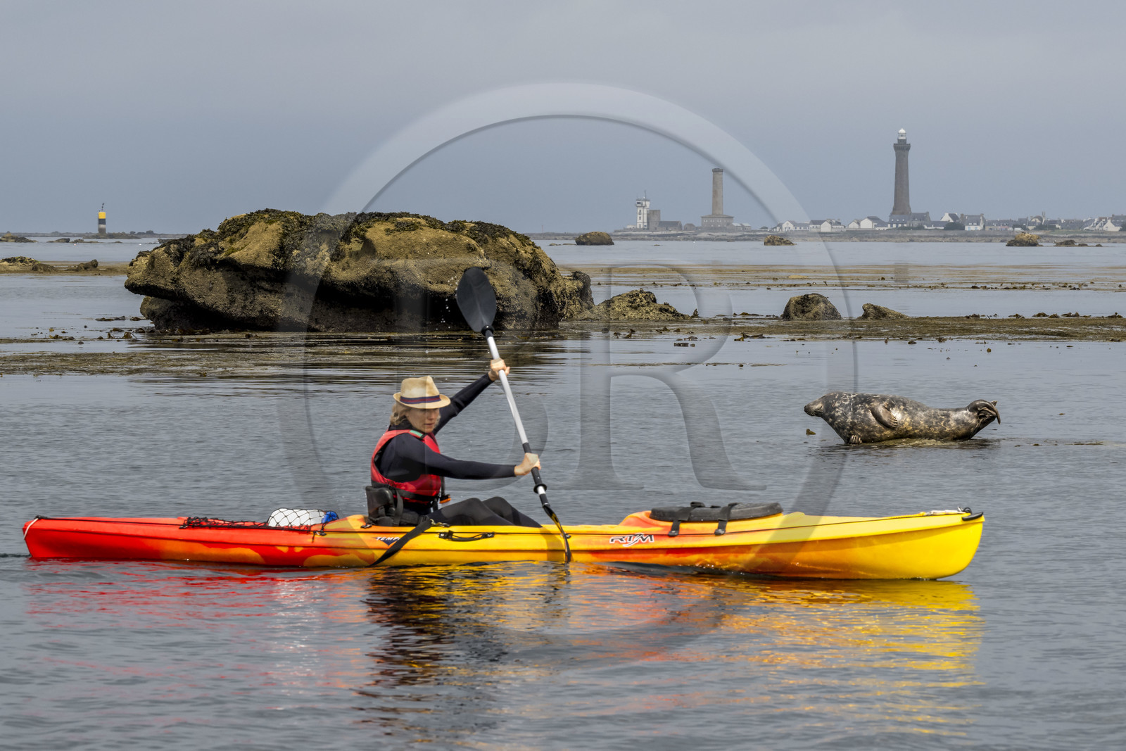 France, Finistère (29), Penmarch, archipel des Étocs, sortie en kayak du Centre nautique du Guilvinec à la découverte du phoque gris (halichoerus grypus) dans les rochers à marée basse, le phare d'Eckmuhl sur la Pointe de Penmarch en arrière plan