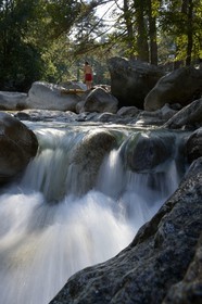 France, Haute Corse, Corte, Restonica valley