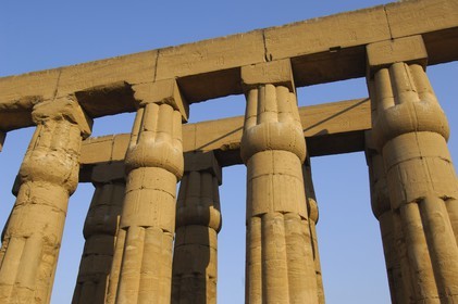 Egypte, Haute Egypte, vallée du Nil, temple de Louxor classé Patrimoine Mondial de l'UNESCO, collonade