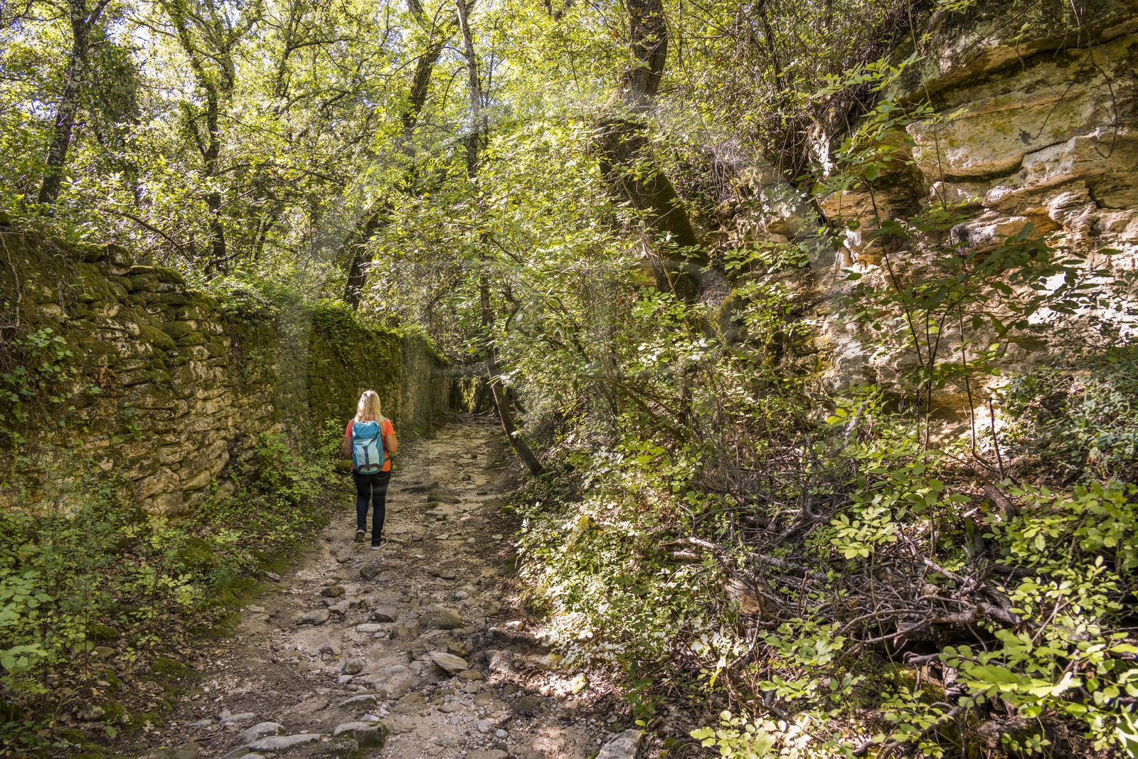 France, Gard, Uzès, hiker on a path along the scrubland along the route of the Roman aqueduct of Nimes