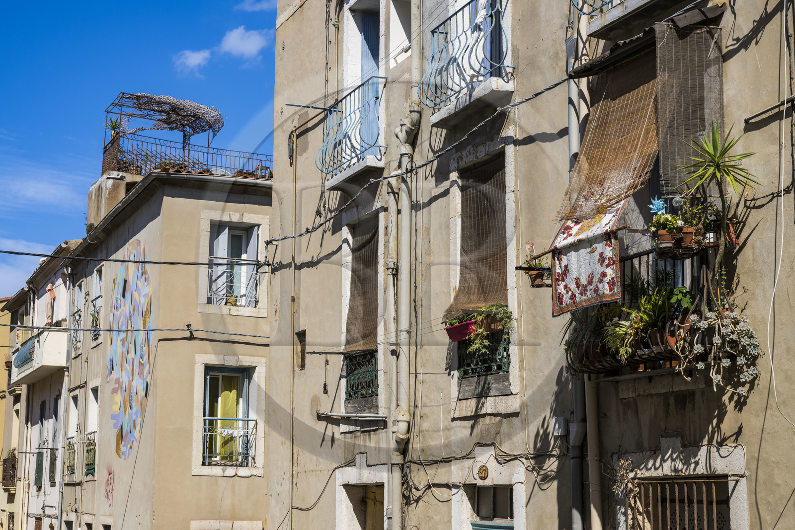 France, Hérault (34), Sète, le Quartier Haut, fresque murale qui fait parti du MACO - Musée à ciel ouvert, Lumière du soir de l'artiste Goddog dans la rue Pascal