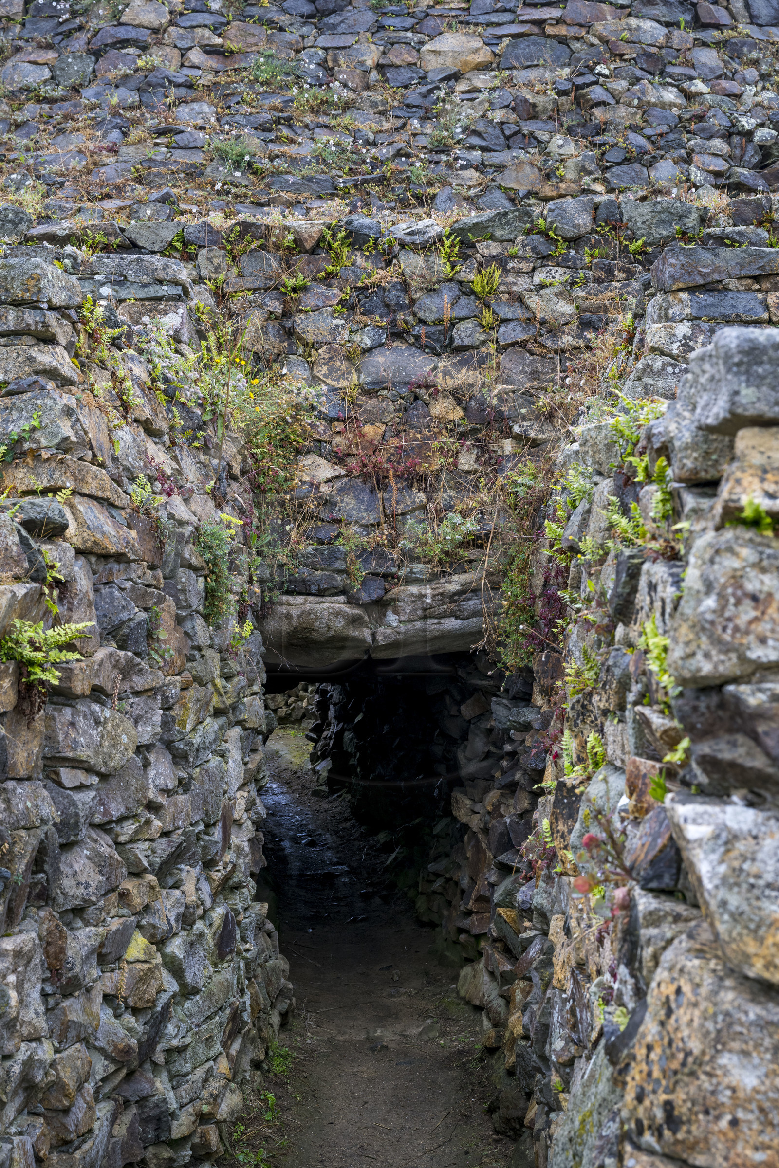 France, Finistère, Morlaix bay, Kernehelen peninsula, 6000 years old Cairn of Barnenez, dolmen with corridor, one of the room entrances