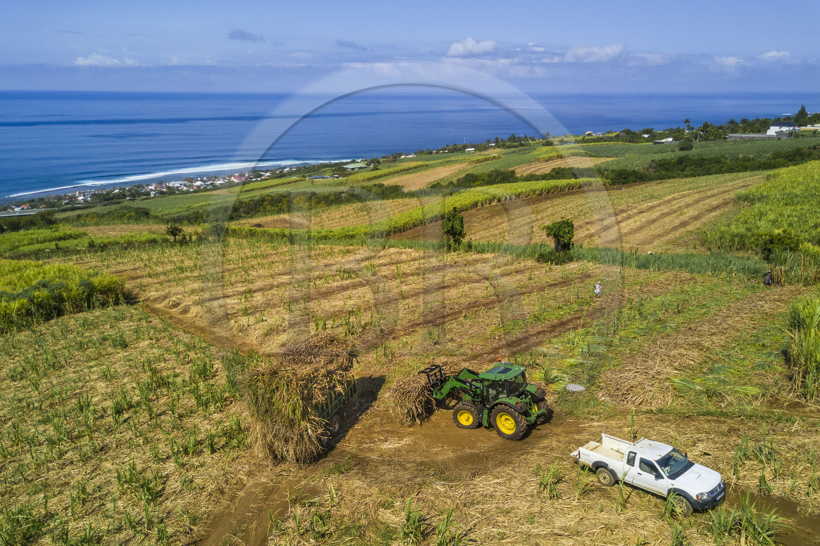 France, Ile de la Reunion, Petite-Ile, coupe et r