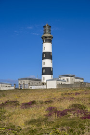 France, Finistère (29), Mer d'Iroise, Ile d'Ouessant, le phare du Créac’h et la lande