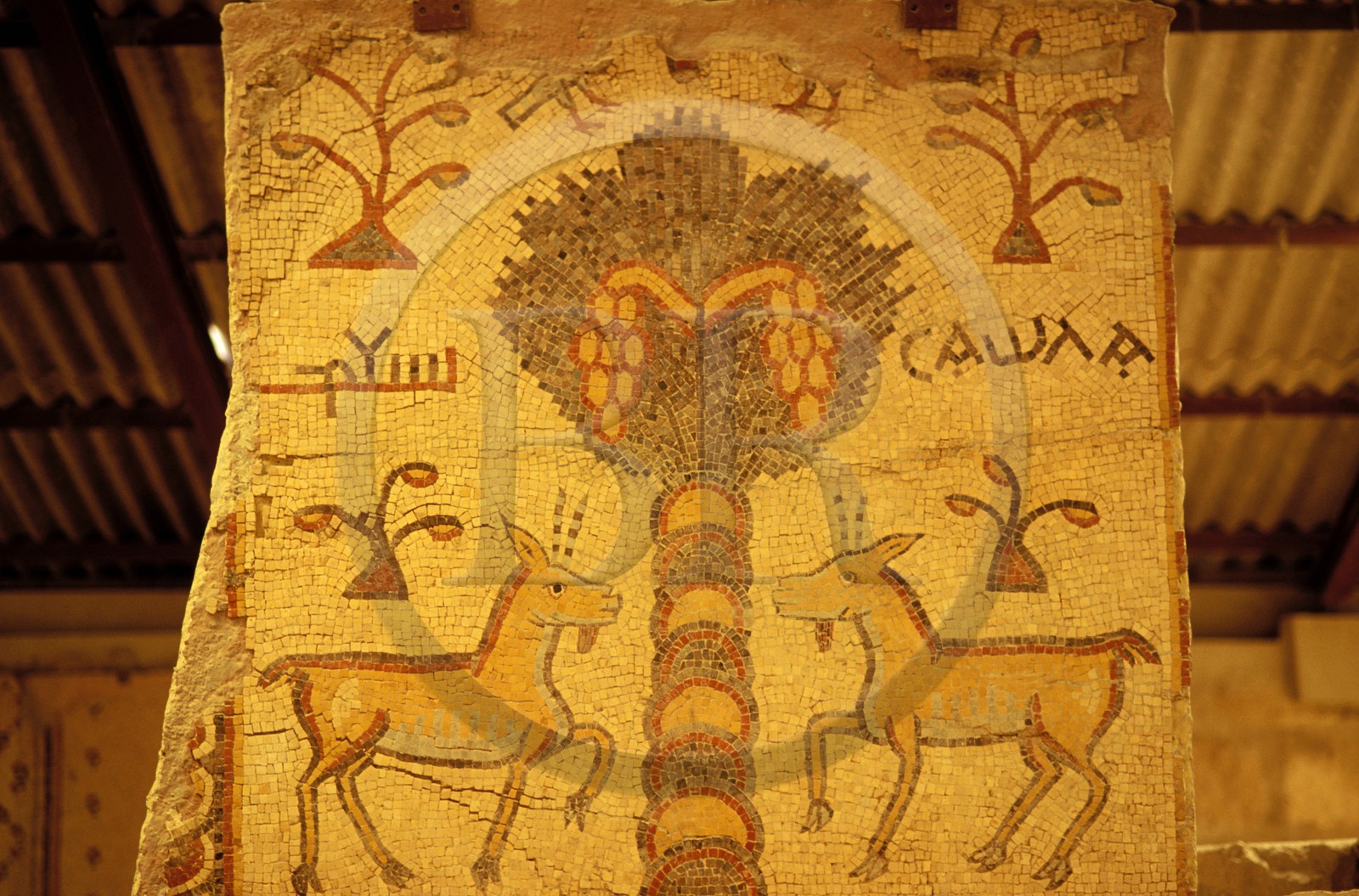 Jordan, the Mount Nebo, Byzantine mosaics of 531 BC.