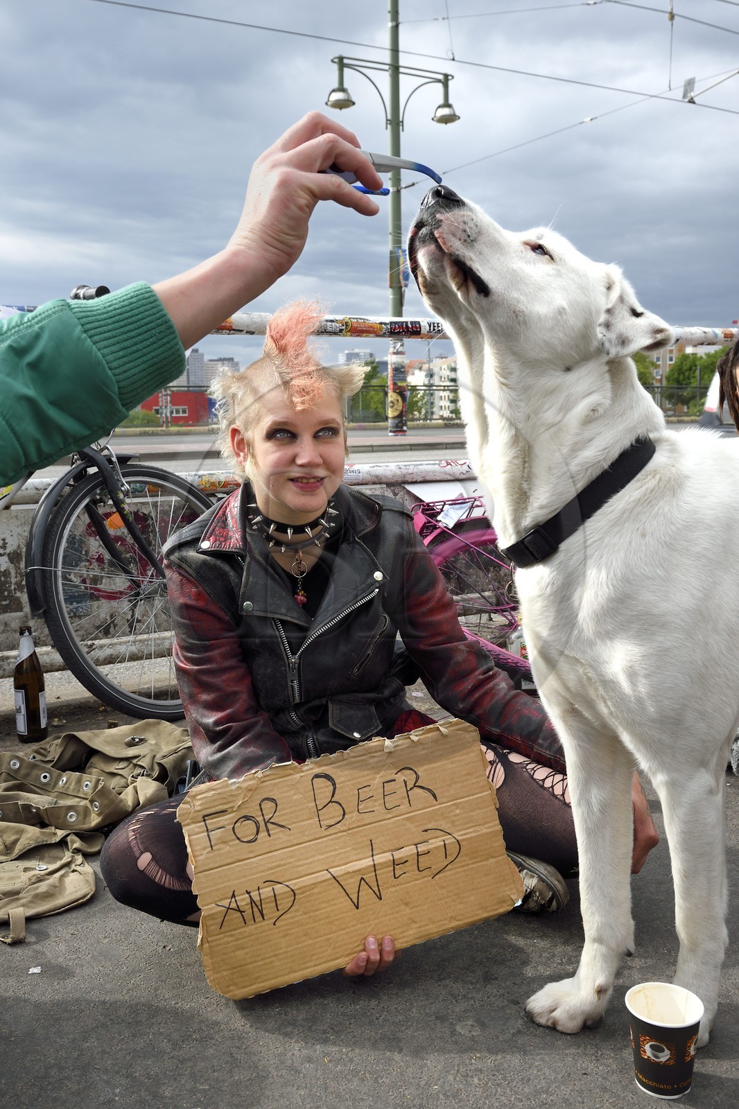 Allemagne, Berlin, chemin de fer de la station Warschauer Strasse, For beer and weed (Pour la bière et l'herbe)