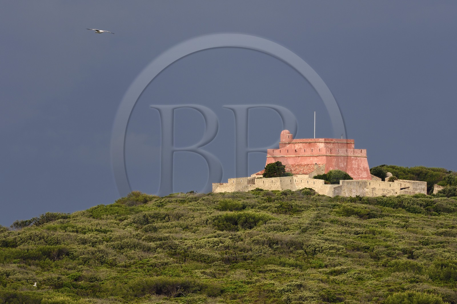 France, Var (83), Iles d'Hyères, parc national de Port Cros, Ile de Porquerolles, fort privé et restauré du Grand Langoustier