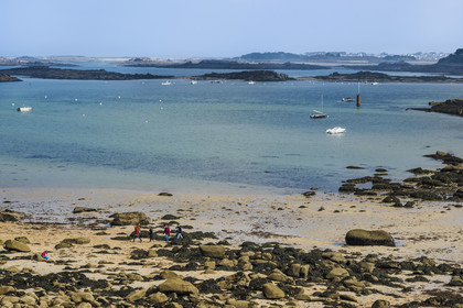 France, Côtes-d'Armor (22), Côte de Granit Rose, Trébeurden, Ile Millau, l'ile est uniquement accessible à pied et à marée basse depuis la pointe du Castel