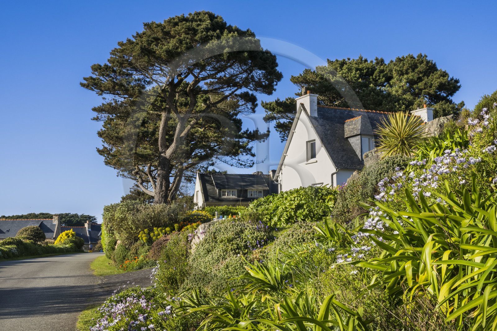 France, Côtes-d'Armor, Cote d'Ajoncs, Plougrescant, Porz Bugalé hamlet