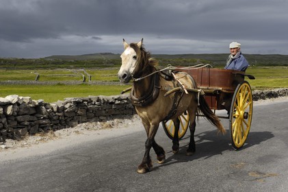 Irlande, Comté de Galway, Aran Islands, Inishmore, homme d'Aran sur sa calèche