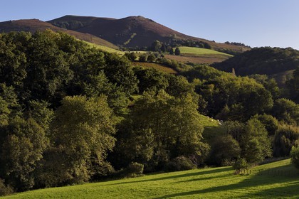 France, Pyrénées-Atlantiques (64), Pays-Basque, Espelette, forêts et paturages au pied du mont Mondarrain