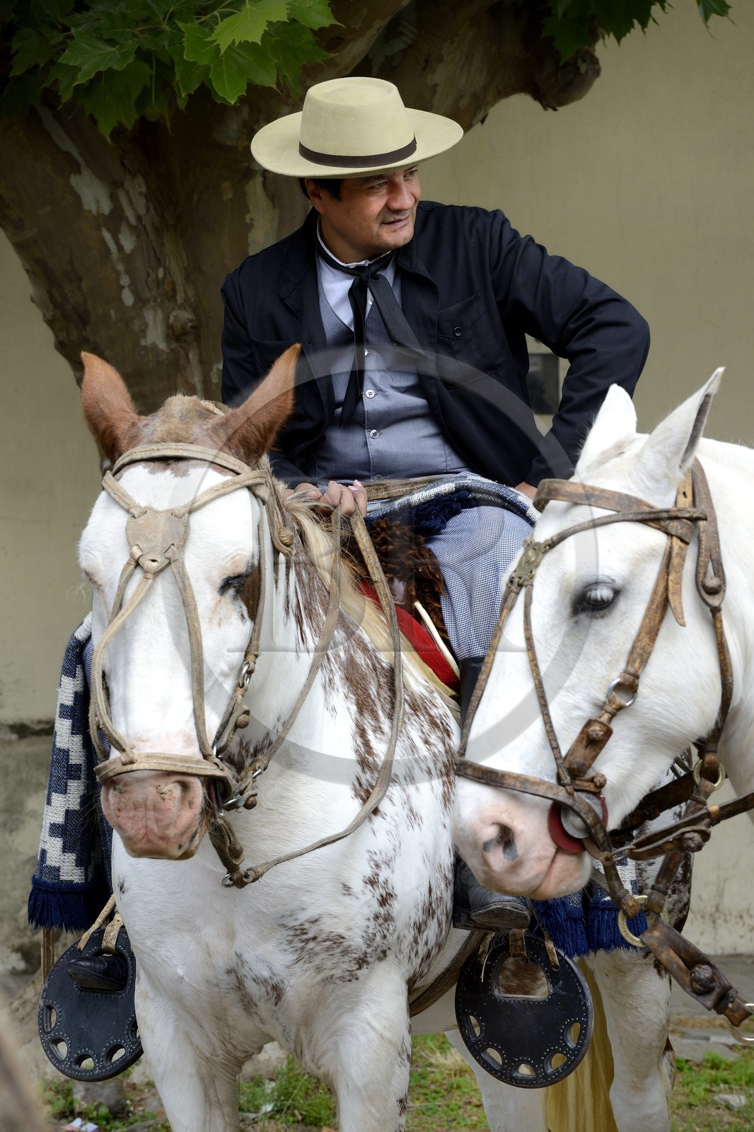 Argentina, Buenos Aires Province, San Antonio de Areco, gaucho at the Tradition Day festival (Dia de Tradicion)