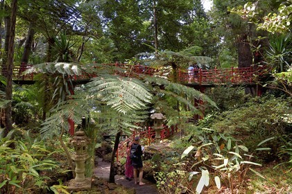 Portugal, Ile de Madère, Funchal, le jardin tropical Monte Palace